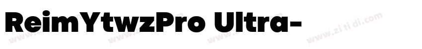 ReimYtwzPro Ultra字体转换
